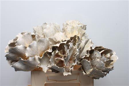 Huis en tuindecoratie overig 6%