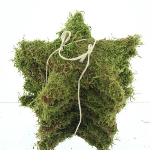 Huis en tuindecoratie overig H%