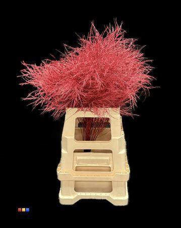 Decoratiegroen kleurbehandeld per bos H%