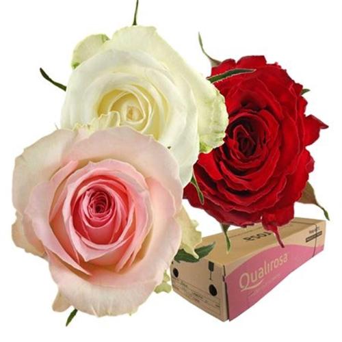 Rosa grootbloemig gemengd in bos