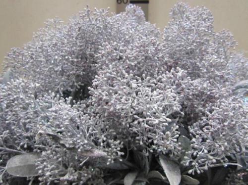 Skimmia per bos overig kleurbehandeld H%