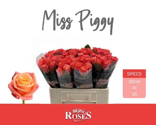 Rosa grootbloemig Miss Piggy+