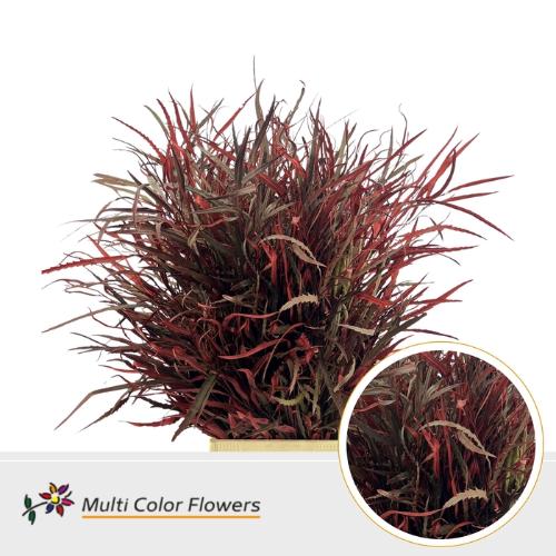 Decoratiegroen kleurbehandeld per bos H%