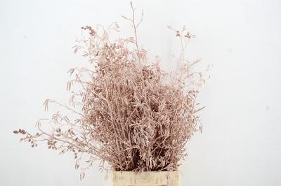 Decoratiegroen kleurbehandeld H%