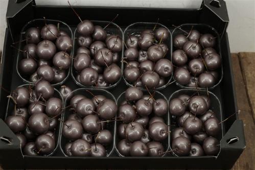 Wax appel H%