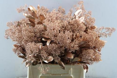 Skimmia per bos overig kleurbehandeld H%