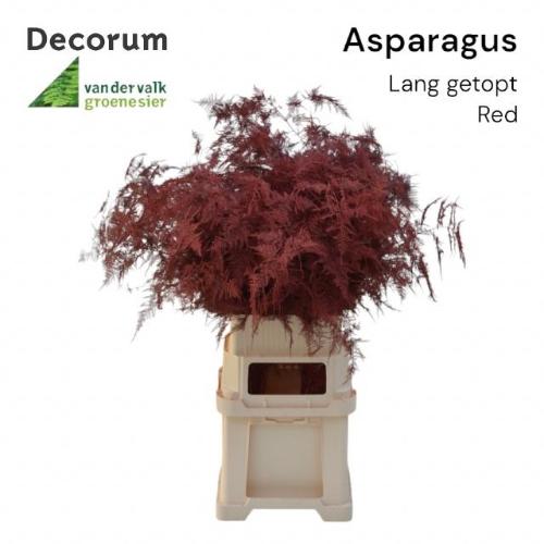 Asparagus overig kleurbehandeld H%