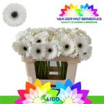 7b27c7b8-79e8-4487-90ab-075cadc30c98.jpg