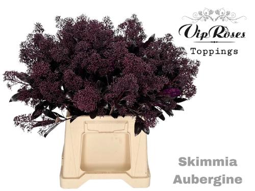 Skimmia per bos overig kleurbehandeld H%