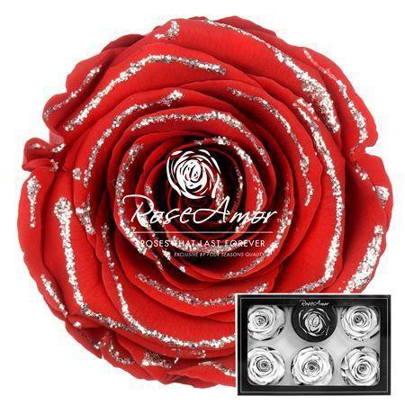 Rosa grootbloemig kleurbehandeld H%