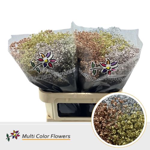 Gypsophila overig kleurbehandeld H%