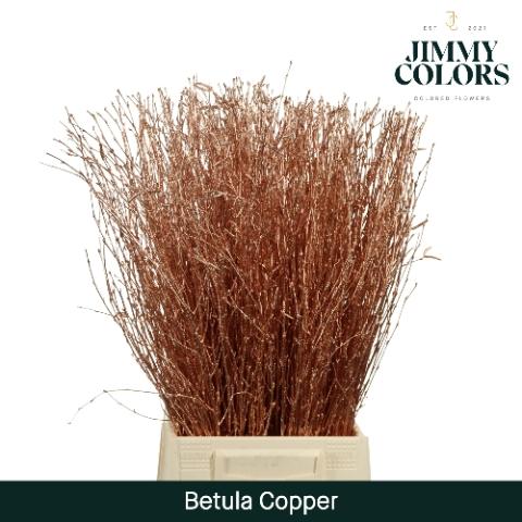 Betula kleurbehandeld H%