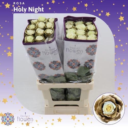 Rosa grootbloemig kleurbehandeld H%