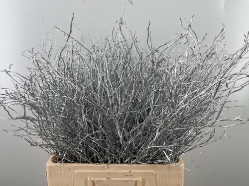 Vaccinium kleurbehandeld H%