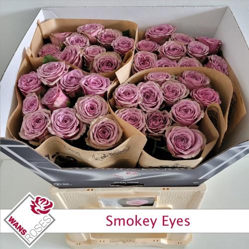 Rosa grootbloemig Smokey Eyes
