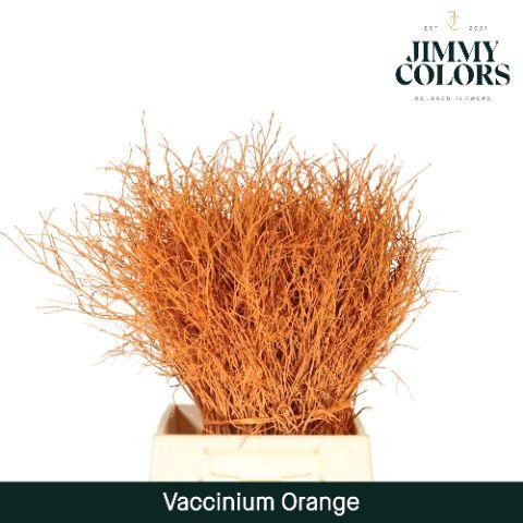 Vaccinium kleurbehandeld H%