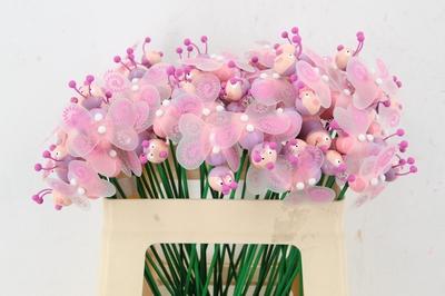 Huis en tuindecoratie overig H%