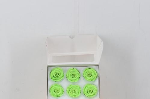Rosa grootbloemig kleurbehandeld H%