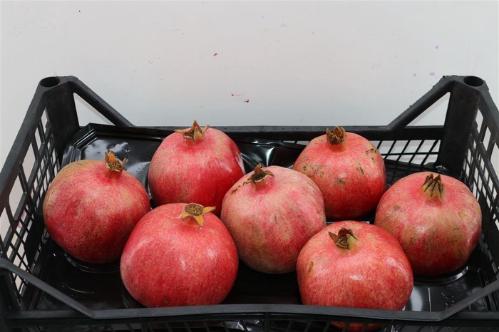 Siervruchten per stuk Punica granatum