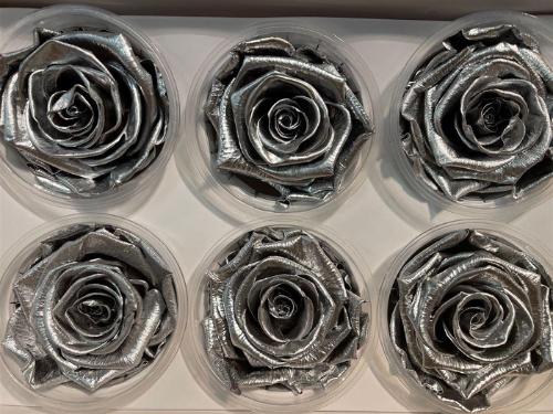 Rosa grootbloemig kleurbehandeld H%