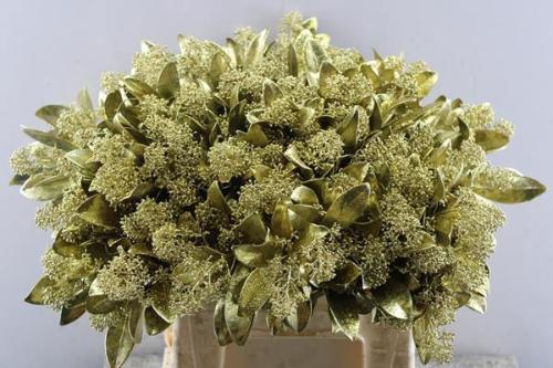 Skimmia per bos overig kleurbehandeld H%