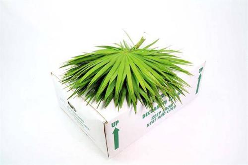 Palmblad