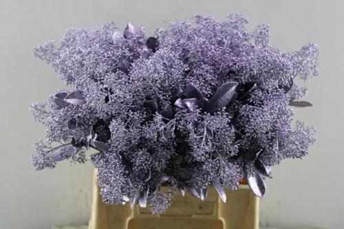 Skimmia per bos overig kleurbehandeld H%