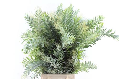 Decoratiegroen overig per bos