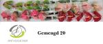 7ed4a13c-1727-45d0-bd5e-2c8f476fedbe.jpg