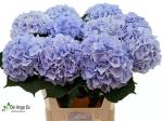 7eee9d6b-c09a-45bc-abc0-6db1467247a9.jpg