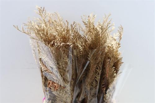 Decoratiegroen kleurbehandeld H%