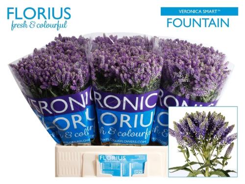 Veronica Smart Fountain