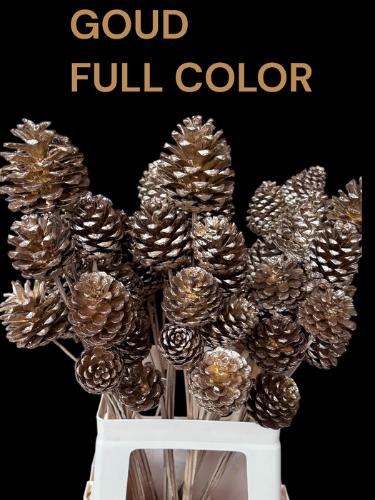 Dennenappel op stok H%