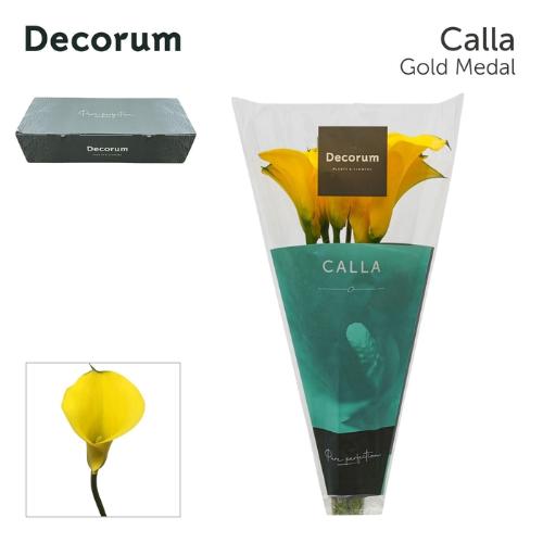 Zantedeschia 'Gold Medal'