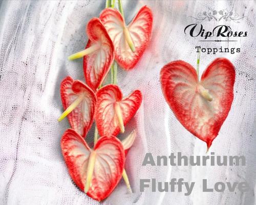 Anthurium Andreanum Grp kleurbehandeld H%