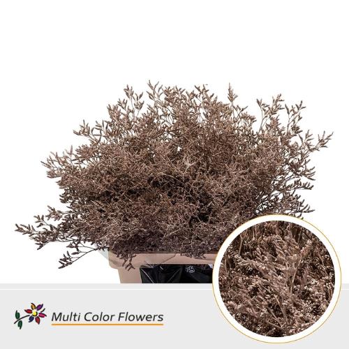 Limonium overig kleurbehandeld H%