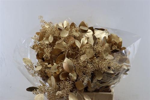 Eucalyptus kleurbehandeld per bos H%