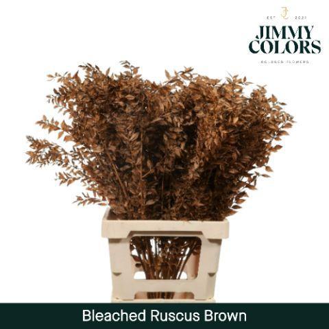 Snijbloemen overig kleurbehandeld H%