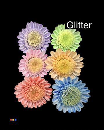 Chrysanthemum Indicum Grp tros kas kleurbehandeld H%