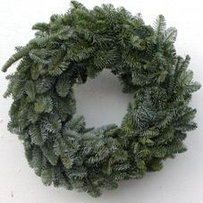 Krans Abies nobilis H%