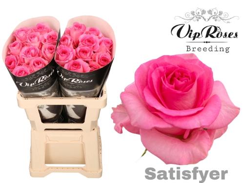 Rosa grootbloemig Satisfyer