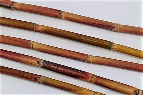 Decoratiegroen overig