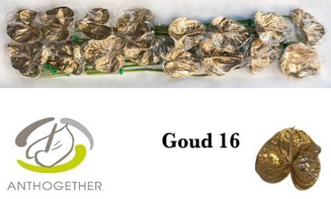 Anthurium Andreanum Grp kleurbehandeld H%