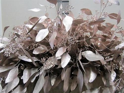 Eucalyptus kleurbehandeld per bos H%