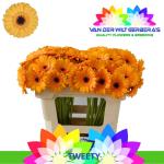 824f3b5d-eeca-4ff8-8272-6429204d2a17.jpg