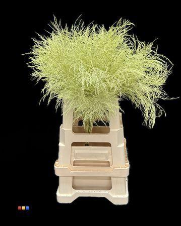 Decoratiegroen kleurbehandeld per bos H%