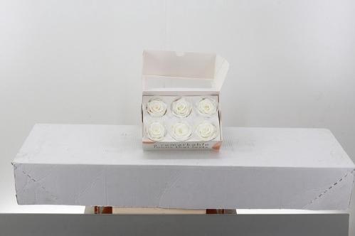 Rosa grootbloemig kleurbehandeld H%