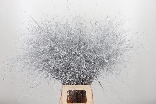 Siergras kleurbehandeld H%