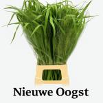 83555643-fcb4-4c12-88cf-c642f868b026.jpg