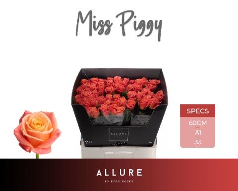 Rosa grootbloemig Miss Piggy+